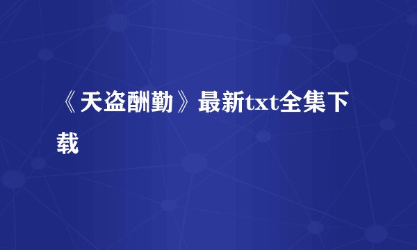 《天盗酬勤》最新txt全集下载