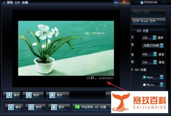 swf转gif格式转换器完美解决方案