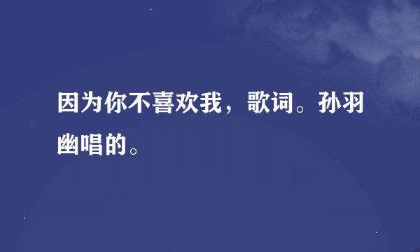 因为你不喜欢我，歌词。孙羽幽唱的。