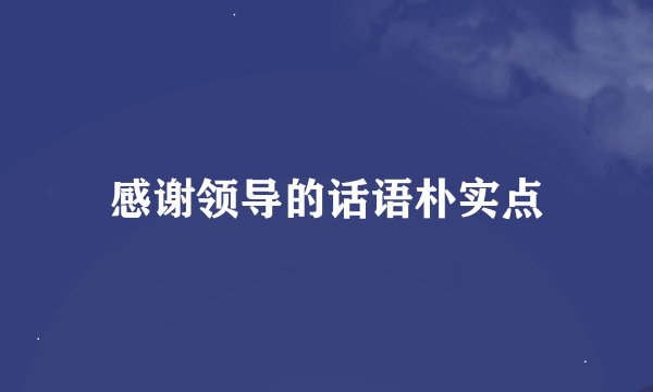 感谢领导的话语朴实点