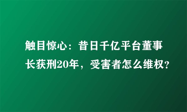 触目惊心：昔日千亿平台董事长获刑20年，受害者怎么维权？