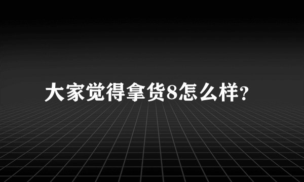 大家觉得拿货8怎么样？