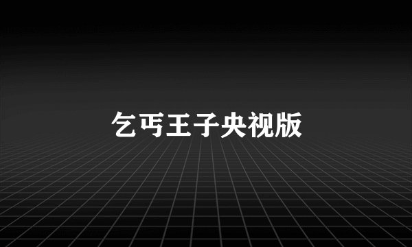 乞丐王子央视版