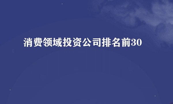 消费领域投资公司排名前30