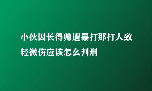 小伙因长得帅遭暴打那打人致轻微伤应该怎么判刑