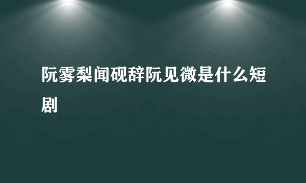 阮雾梨闻砚辞阮见微是什么短剧