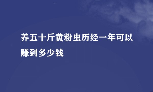 养五十斤黄粉虫历经一年可以赚到多少钱