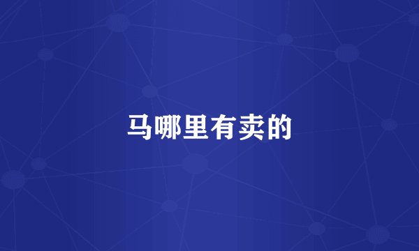 马哪里有卖的