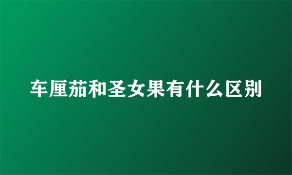 车厘茄和圣女果有什么区别