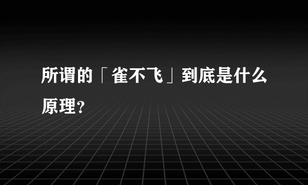 所谓的「雀不飞」到底是什么原理？