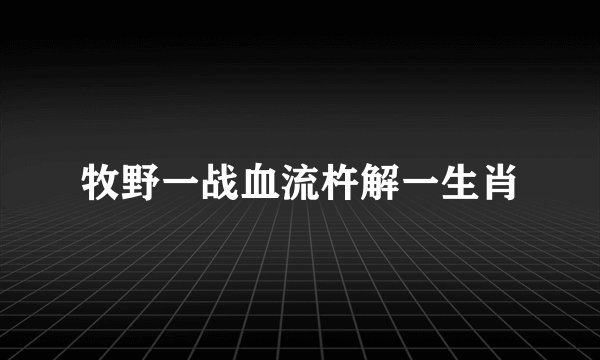 牧野一战血流杵解一生肖