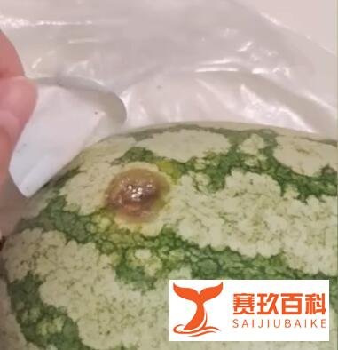 女子路边摊买西瓜，一个西瓜贴了三个标签，撕开后西瓜烂了好几个洞
