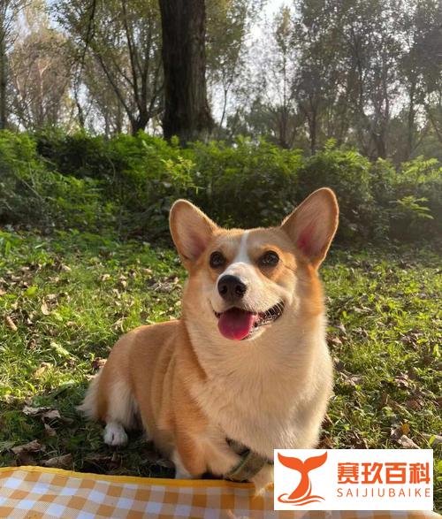 网传唐山交警执法遇酒驾司机突然停播有猫腻?官方:正在调查