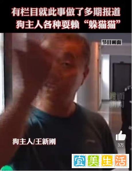 狗咬人事件涉事人王新刚被撤职，难道真得靠舆论才能执法吗？