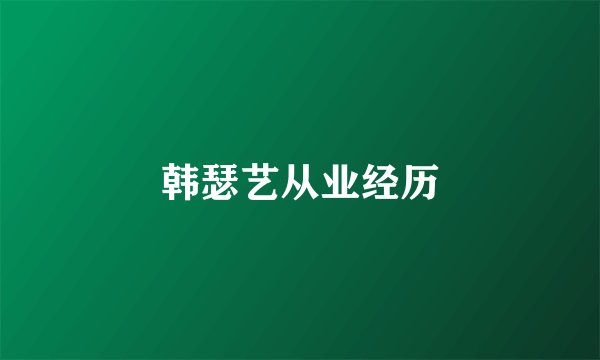 韩瑟艺从业经历