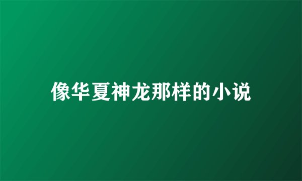 像华夏神龙那样的小说