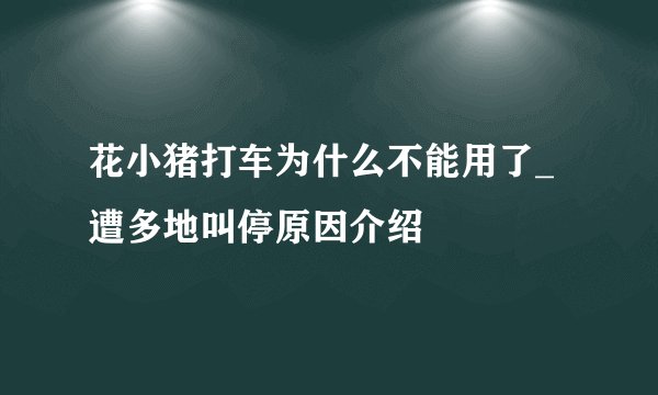花小猪打车为什么不能用了_遭多地叫停原因介绍
