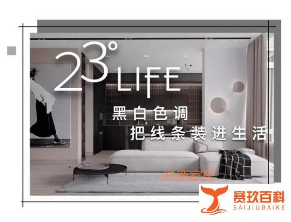成都口碑好的软装设计公司|黑白色调把线条装进生活