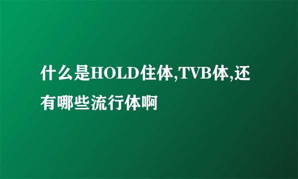 什么是HOLD住体,TVB体,还有哪些流行体啊