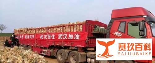 50万斤大葱销售难,曾驰援武汉的“大葱哥”急需帮助!