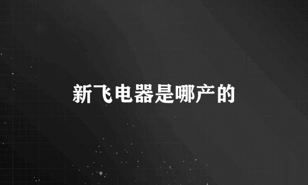 新飞电器是哪产的
