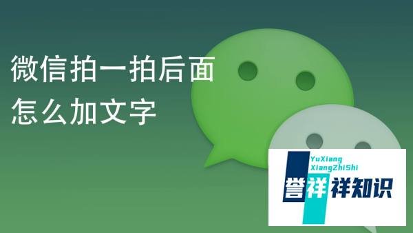 微信拍一拍后面怎么加文字