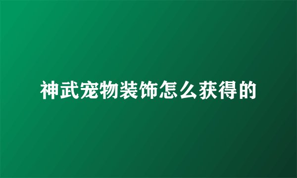 神武宠物装饰怎么获得的
