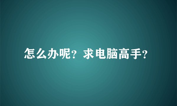 怎么办呢？求电脑高手？