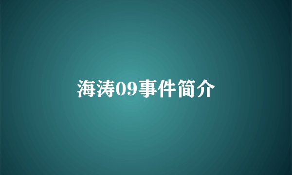 海涛09事件简介