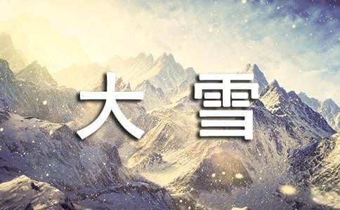 那年冬天好大雪阅读训练的参考答案