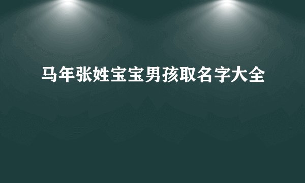 马年张姓宝宝男孩取名字大全