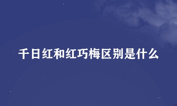 千日红和红巧梅区别是什么