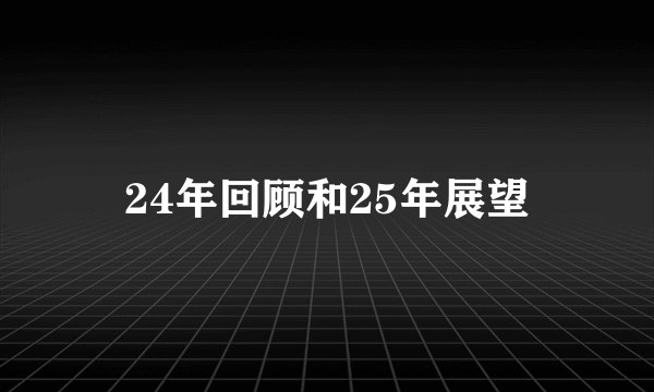 24年回顾和25年展望
