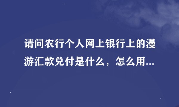 请问农行个人网上银行上的漫游汇款兑付是什么，怎么用呢，能不能用做汇款呢