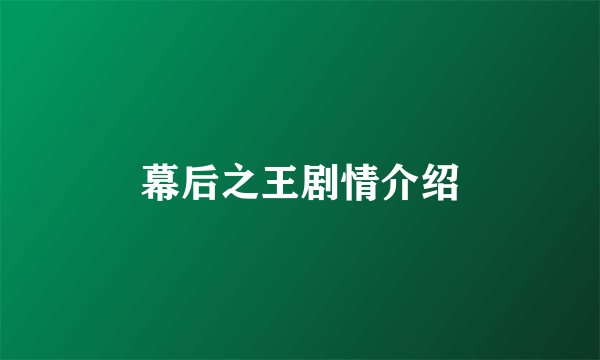 幕后之王剧情介绍