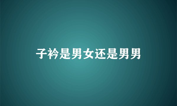 子衿是男女还是男男