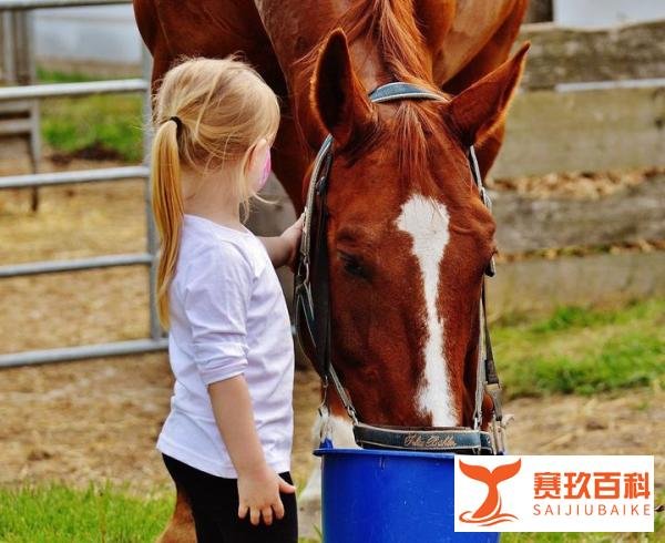 如何搞好存款营销活动