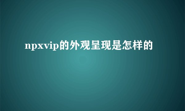 npxvip的外观呈现是怎样的