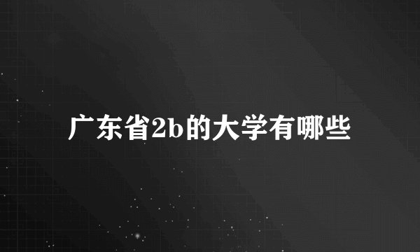广东省2b的大学有哪些