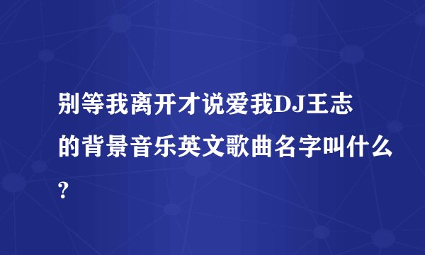 别等我离开才说爱我DJ王志的背景音乐英文歌曲名字叫什么？