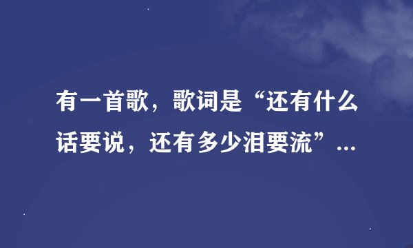 有一首歌,歌词是“还有什么话要说,还有多少泪要流”是什么歌啊