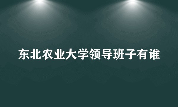 东北农业大学领导班子有谁