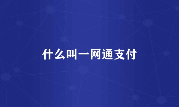 什么叫一网通支付