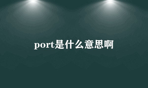port是什么意思啊