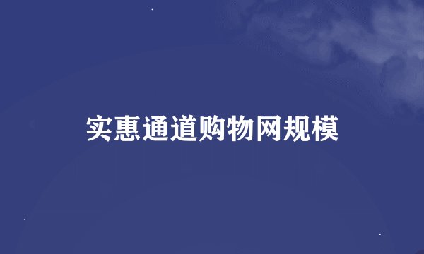 实惠通道购物网规模