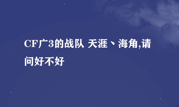 CF广3的战队 天涯丶海角,请问好不好