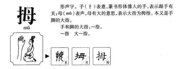 拇指的拇组词