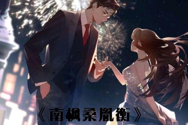 女主叫南枫桑胤衡的小说
