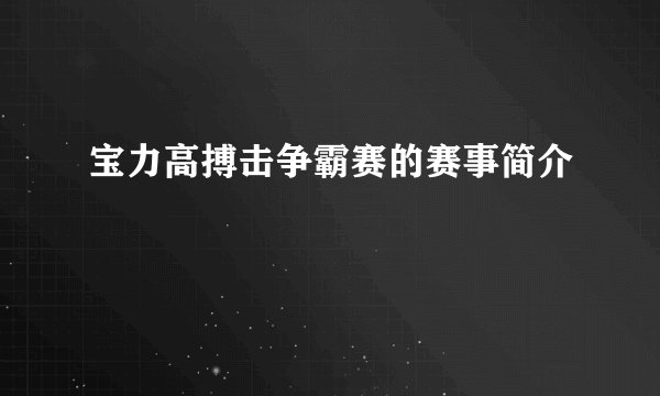 宝力高搏击争霸赛的赛事简介