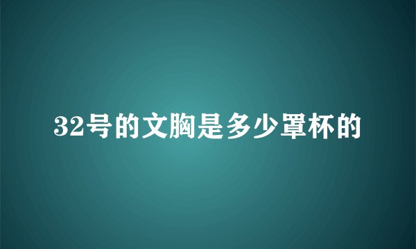 32号的文胸是多少罩杯的